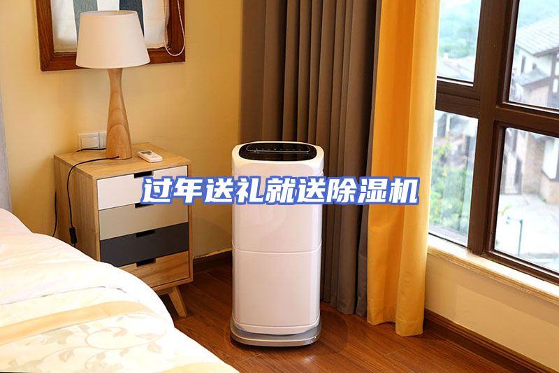 过年送礼就送除湿机