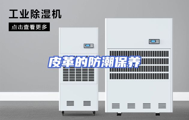 皮革的防潮保养