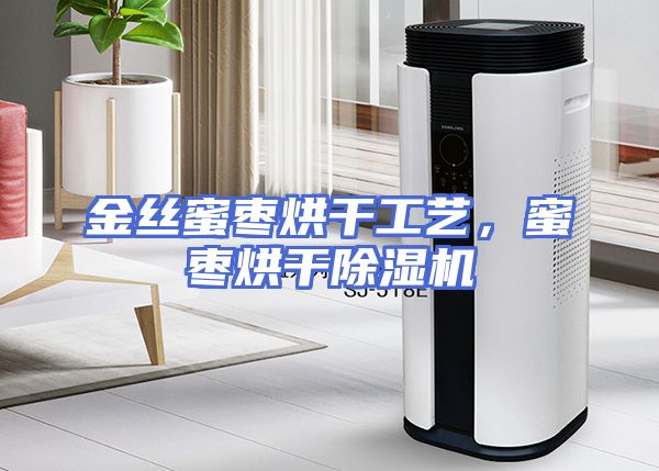 金丝蜜枣烘干工艺，蜜枣烘干除湿机