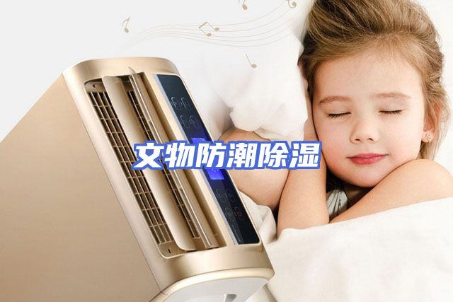文物防潮除湿