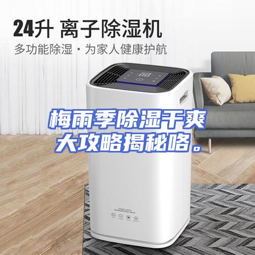 梅雨季除湿干爽大攻略揭秘咯。