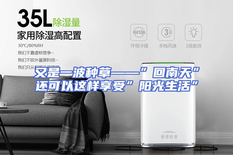又是一波种草——”回南天”还可以这样享受”阳光生活”