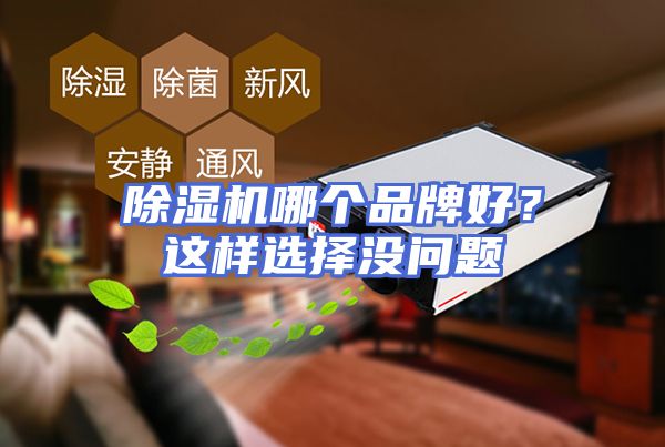 除湿机哪个品牌好？这样选择没问题