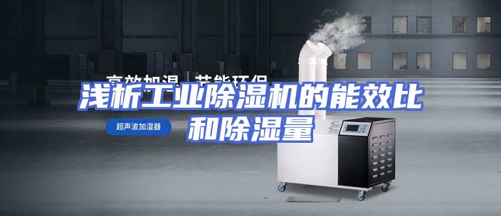 浅析工业除湿机的能效比和除湿量