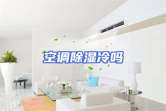 空调除湿冷吗