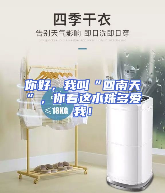 你好，我叫“回南天”，你看这水珠多爱我！