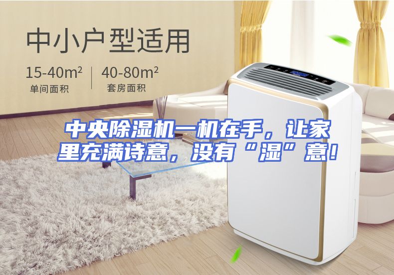 中央除湿机一机在手，让家里充满诗意，没有“湿”意！