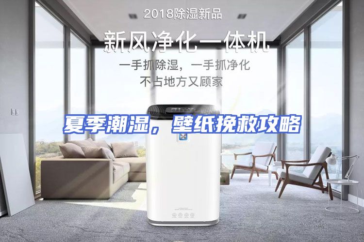 夏季潮湿，壁纸挽救攻略