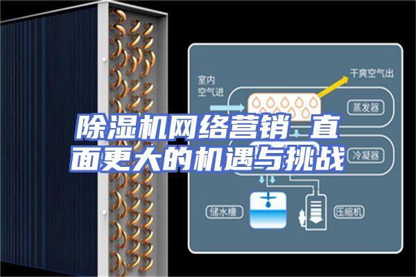 除湿机网络营销 直面更大的机遇与挑战