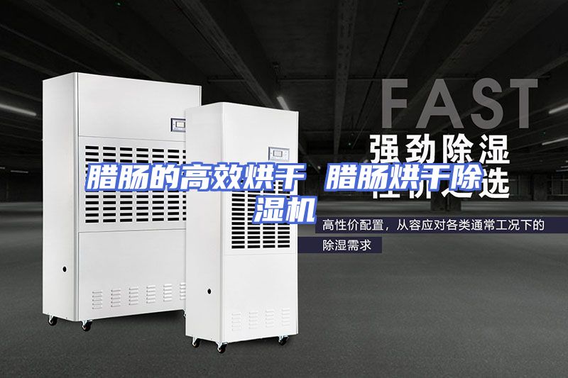 腊肠的高效烘干 腊肠烘干除湿机