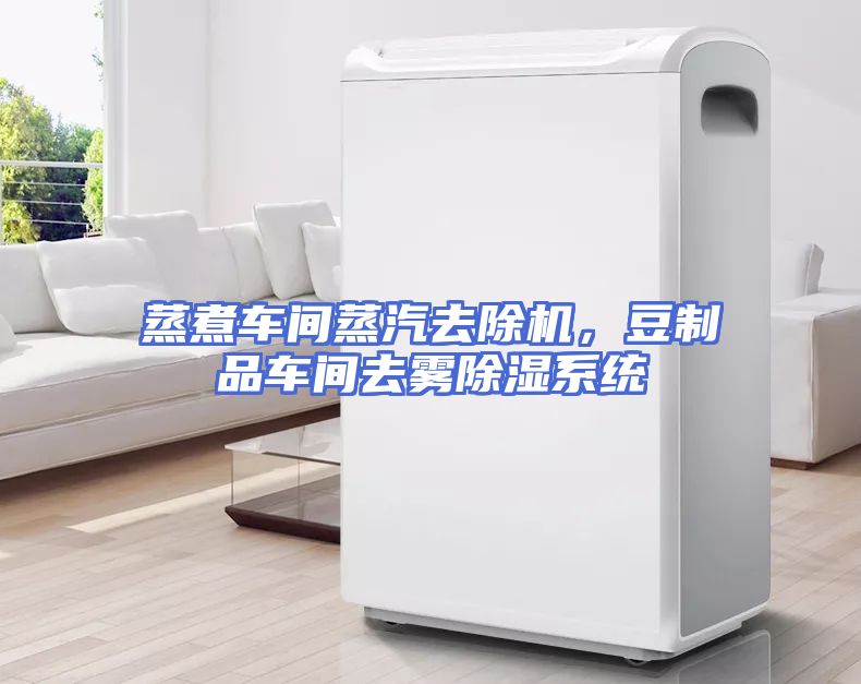 蒸煮车间蒸汽去除机,豆制品车间去雾除湿系统