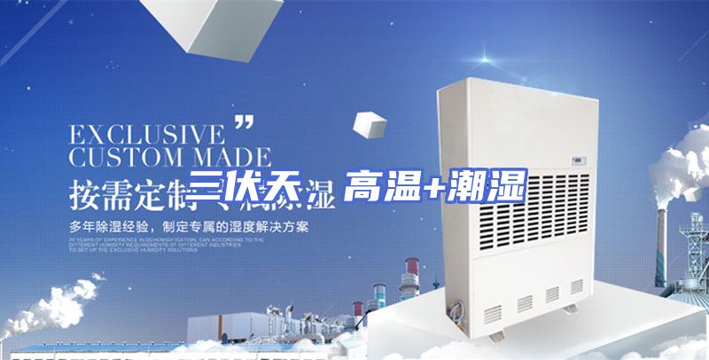 三伏天，高温+潮湿