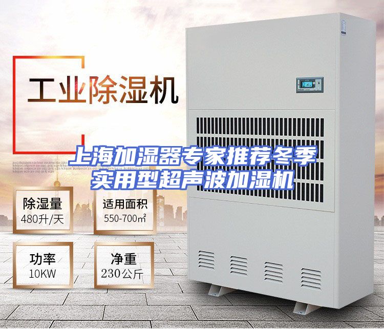 上海加湿器专家推荐冬季实用型超声波加湿机