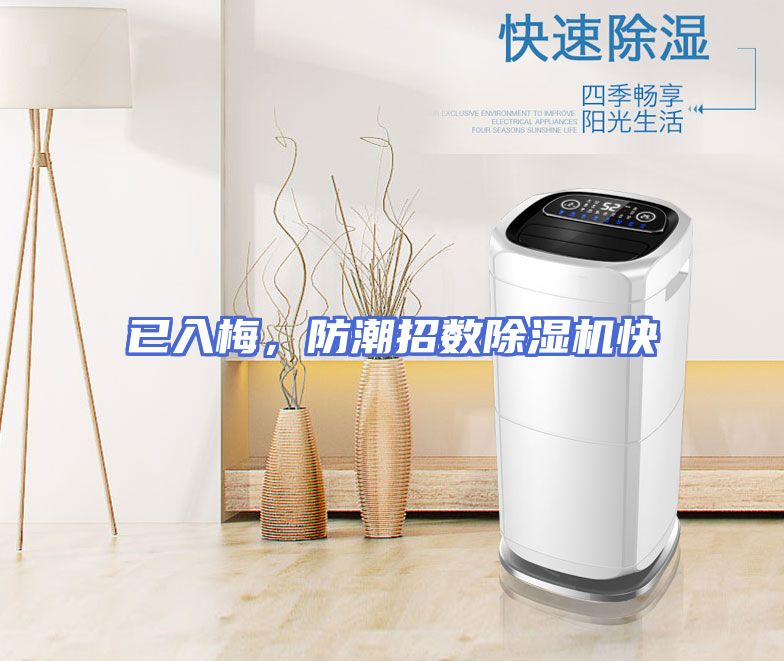 已入梅，防潮招数除湿机快