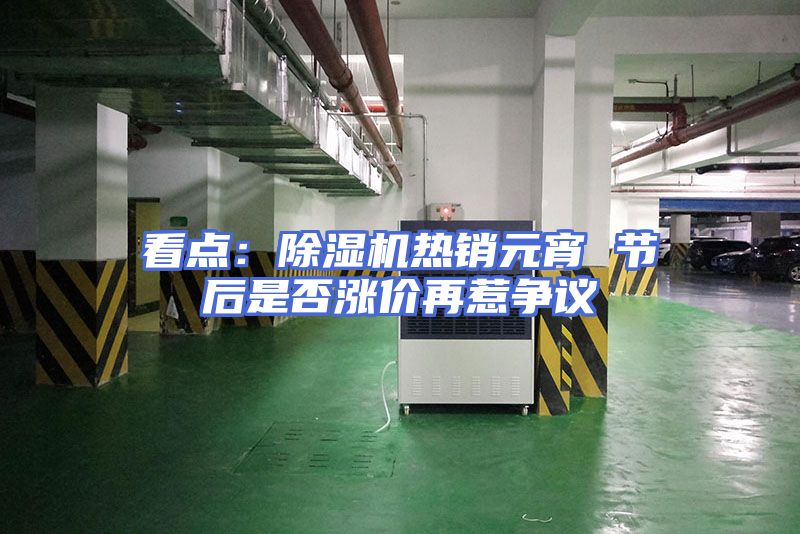 看点：除湿机热销元宵 节后是否涨价再惹争议