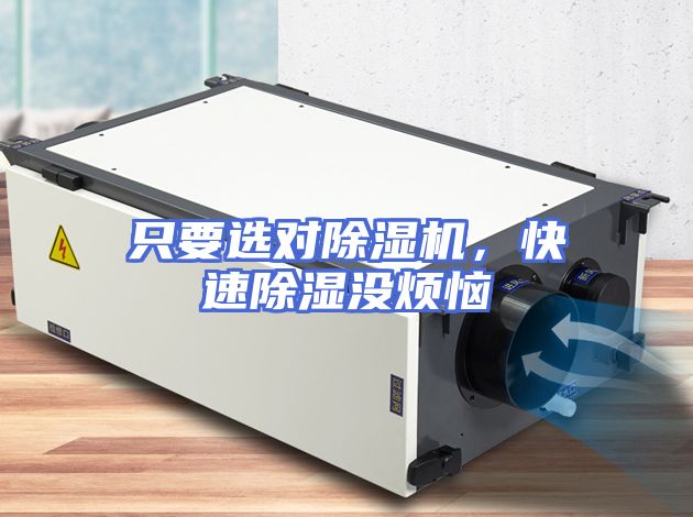 只要选对除湿机，快速除湿没烦恼