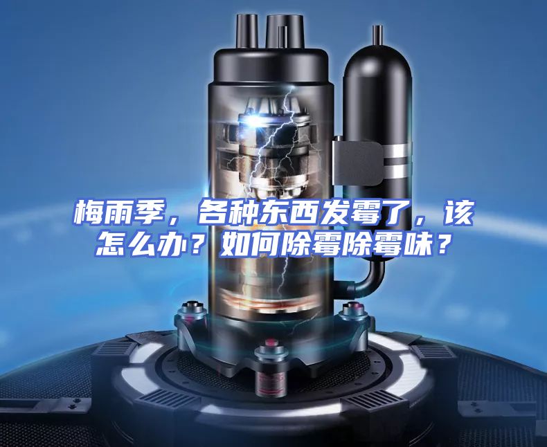 梅雨季，各种东西发霉了，该怎么办？如何除霉除霉味？