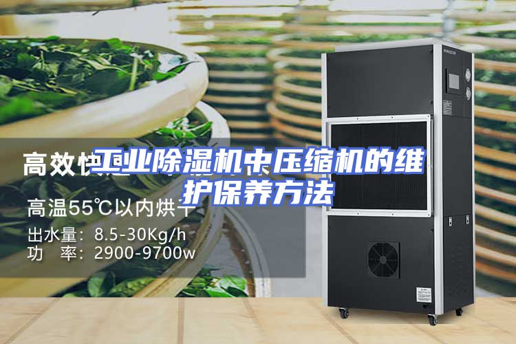 工业除湿机中压缩机的维护保养方法