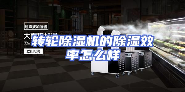 转轮除湿机的除湿效率怎么样