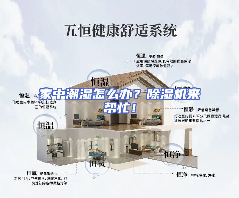 家中潮湿怎么办？除湿机来帮忙！