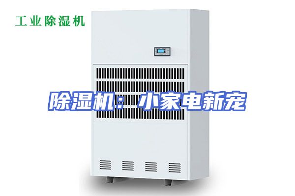 除湿机：小家电新宠