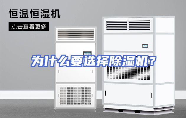 为什么要选择除湿机？