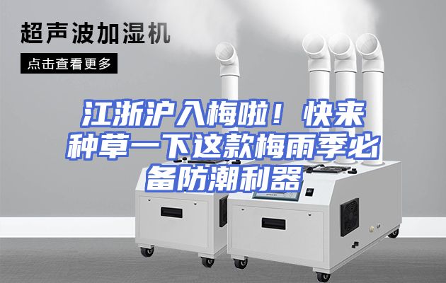江浙沪入梅啦！快来种草一下这款梅雨季必备防潮利器