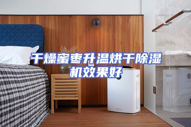 干燥蜜枣升温烘干除湿机效果好