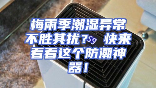 梅雨季潮湿异常不胜其扰？ 快来看看这个防潮神器！