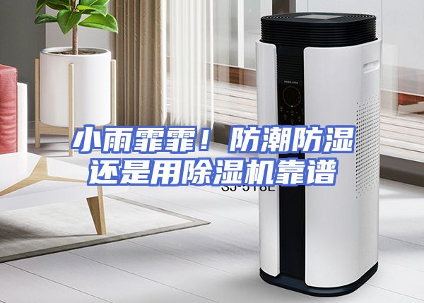 小雨霏霏！防潮防湿还是用除湿机靠谱