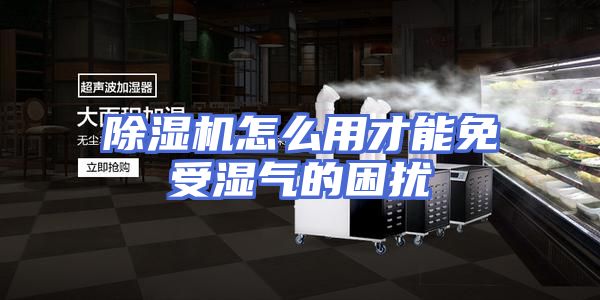 除湿机怎么用才能免受湿气的困扰