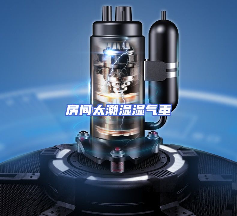 房间太潮湿湿气重