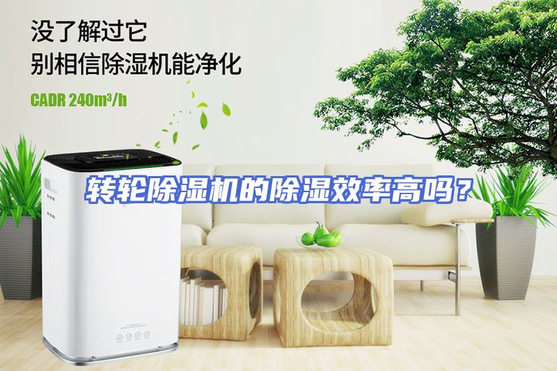转轮除湿机的除湿效率高吗？