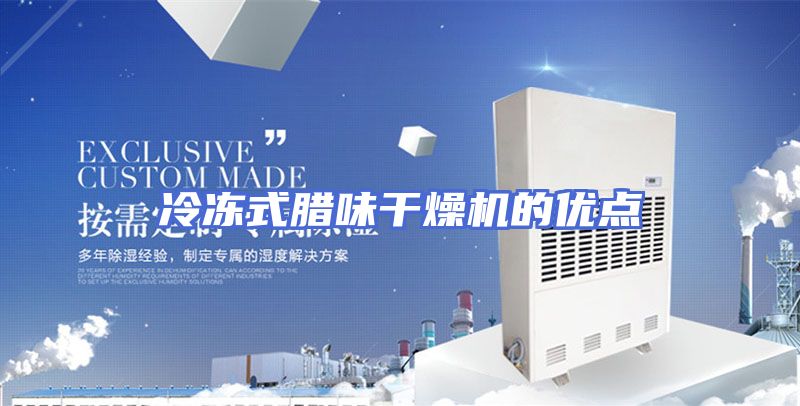 冷冻式腊味干燥机的优点