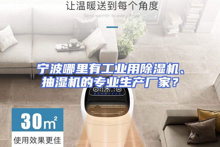 宁波哪里有工业用除湿机、抽湿机的专业生产厂家？