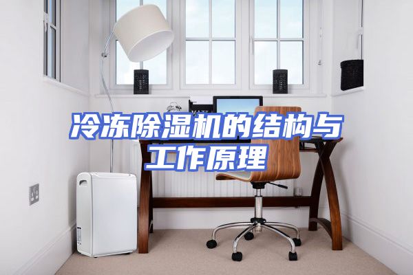 冷冻除湿机的结构与工作原理