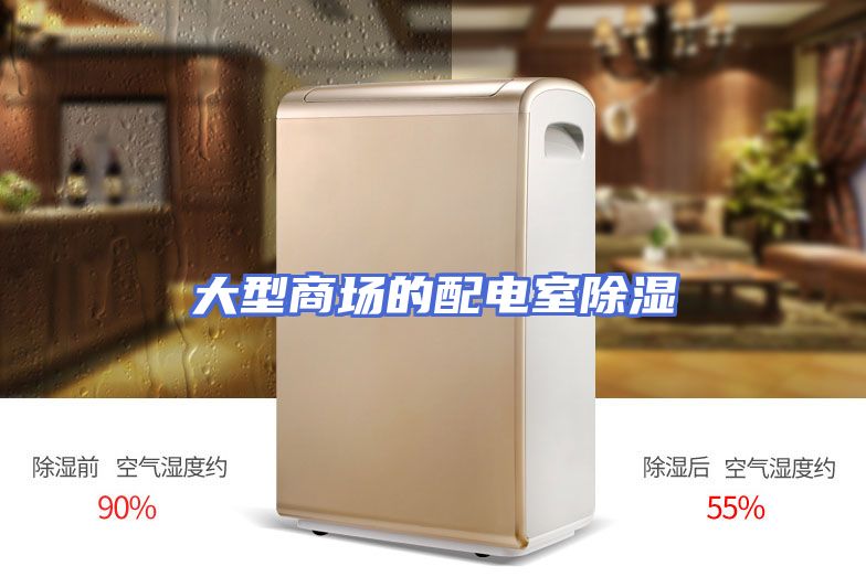 大型商场的配电室除湿