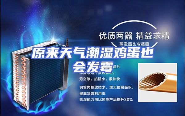 原来天气潮湿鸡蛋也会发霉