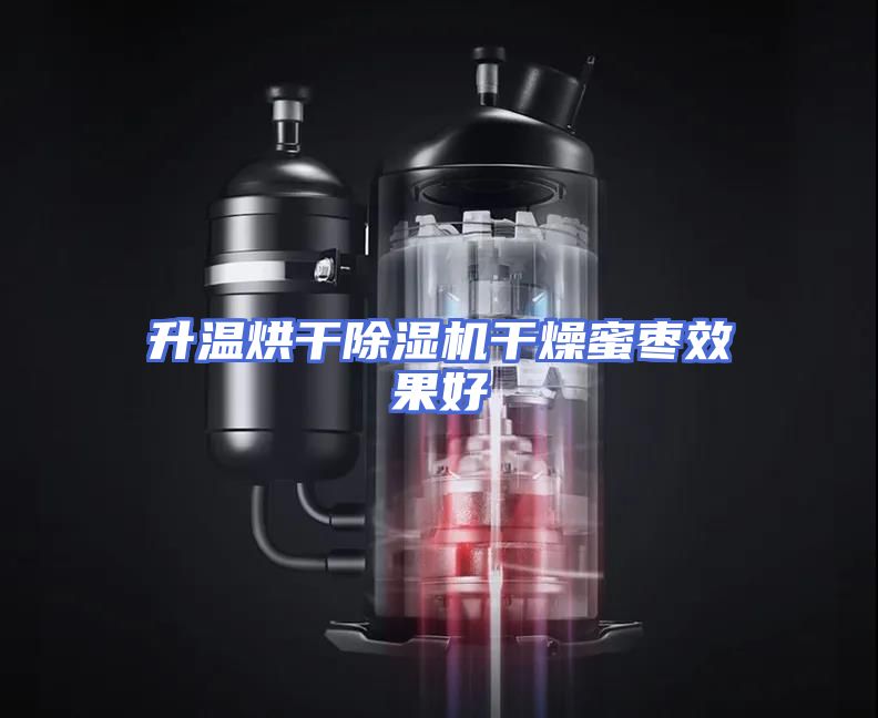 升温烘干除湿机干燥蜜枣效果好