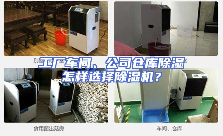 工厂车间、公司仓库除湿怎样选择除湿机？