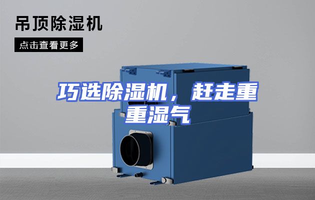 巧选除湿机，赶走重重湿气