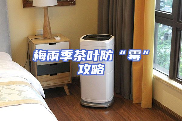梅雨季茶叶防“霉”攻略