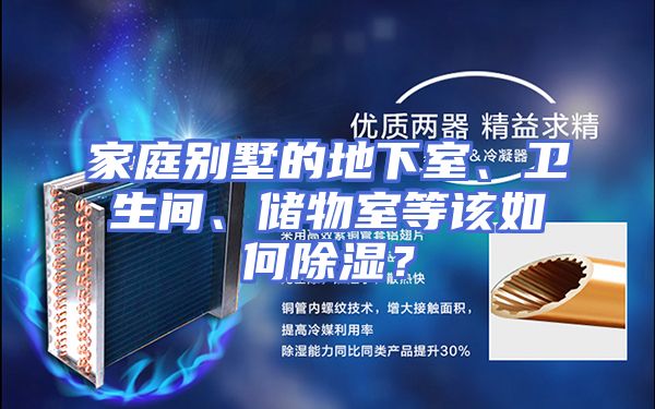 家庭别墅的地下室、卫生间、储物室等该如何除湿？