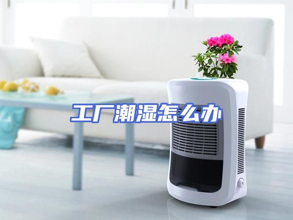 工厂潮湿怎么办