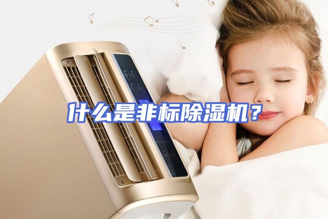 什么是非标除湿机？
