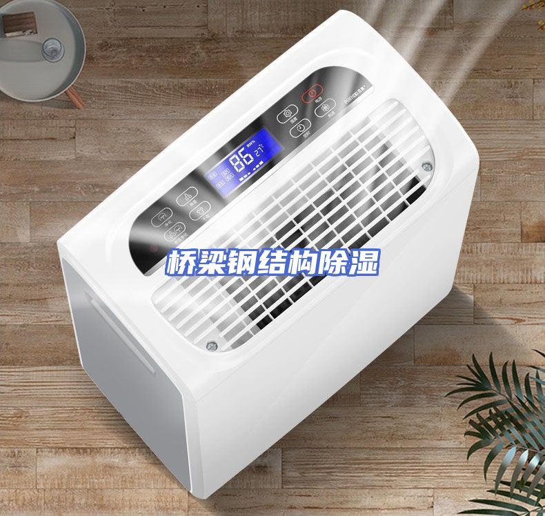 桥梁钢结构除湿