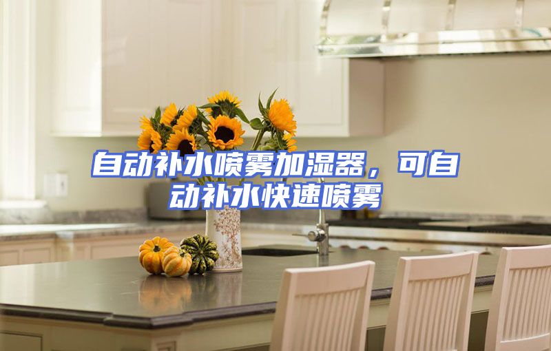 自动补水喷雾加湿器，可自动补水快速喷雾