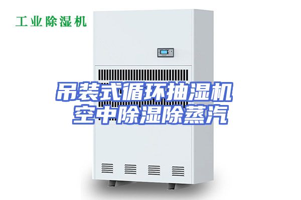 吊装式循环抽湿机 空中除湿除蒸汽