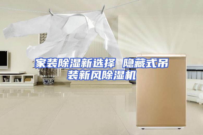 家装除湿新选择 隐藏式吊装新风除湿机
