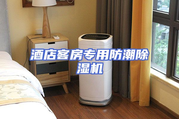 酒店客房专用防潮除湿机